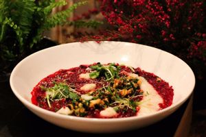 Dinner menu dish - beetroot rissoto with hazelnut gremolata at Mazā Terapija in Riga