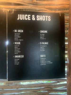 Menu at Organi-K in Sayulita