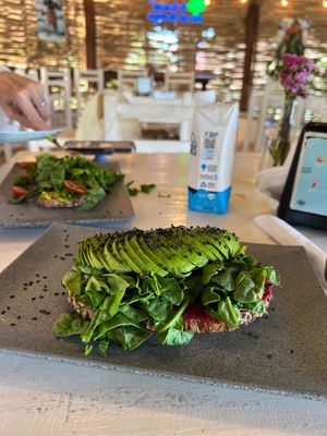   at Organi-K in Sayulita