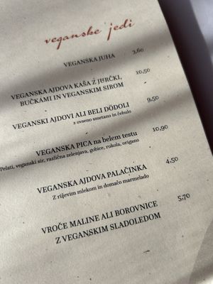 Vegan options in menu. All soups are vegan except beef soup.  at Gostilna in Picerija Ajda in Cankova