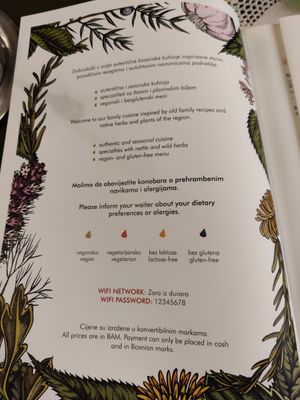  at The Singing Nettle - Žara iz duvara in Sarajevo