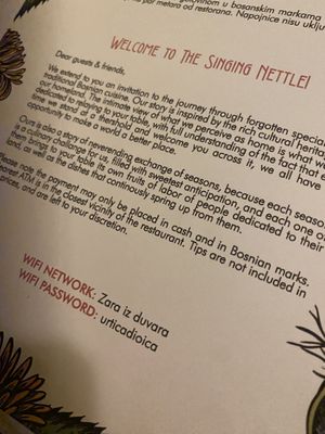   at The Singing Nettle - Žara iz duvara in Sarajevo