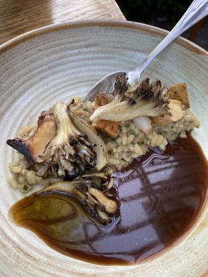 Course 5 at Naturell in Ghent