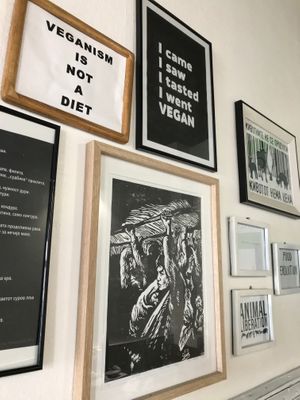 VEGAN IS NOT A DIET at Vegan 365 Kitchen in Skopje