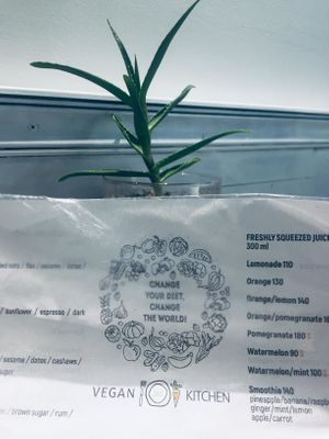menu at Vegan 365 Kitchen in Skopje