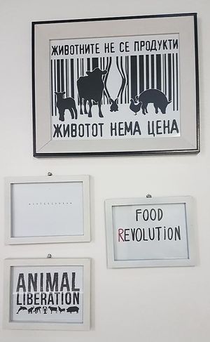 The messages. Animal liberation at Vegan 365 Kitchen in Skopje
