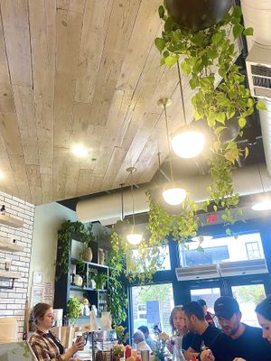 Interior of cafe  at Tribal All Day Cafe in Dallas