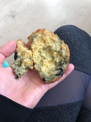 inside of vegan lemon blueberry muffin  at Looney Bean in Bishop