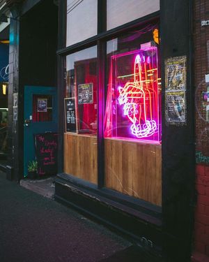 The shady lady  at The Shady Lady in Fitzroy