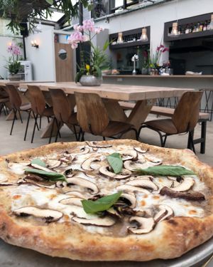 Mushroom truffle pizza also in vegan options  at Orchid Garden in Jerusalem
