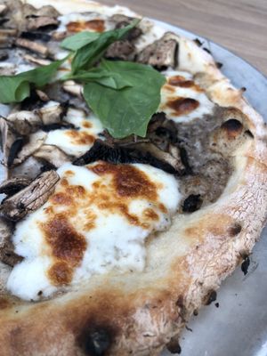 Delicious Mushroom Pizza has a Vegan version at Orchid Garden in Jerusalem