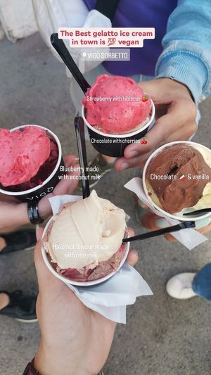 Vigo ice cream sorbetto flavours at Vigo Ice Cream in Ljubljana