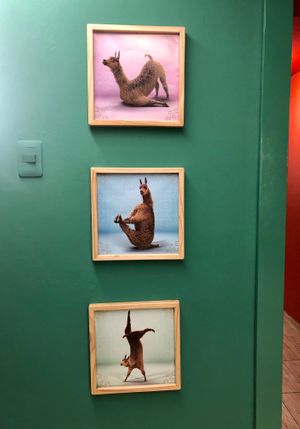 Cute Decor at De La Llama in Quito