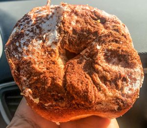 Pumpkin Spice at Donut Palace in Portland