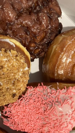 Vegan Donuts  at Donut Palace in Portland