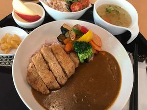Soy cutlet curry lunch set (1,300 yen, one drink included, contain egg, no dairy)  at SaiShokuKenBi in Hiroshima
