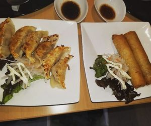 Gyoza and spring rolls at SaiShokuKenBi in Hiroshima