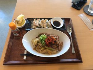 One of our meals at SaiShokuKenBi in Hiroshima