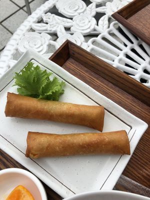 Spring roll - vegan at SaiShokuKenBi in Hiroshima