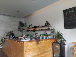 Pekne rastlinku vsade naokolo at Roots in Trencin