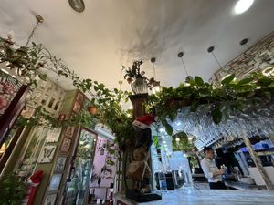 Inside  at Lilies Garden in Tenerife