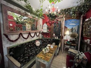 Inside  at Lilies Garden in Tenerife