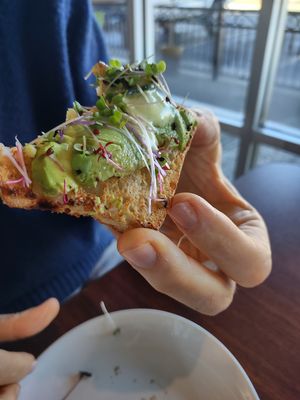 avocado toast at Y'not Organic in Pismo Beach
