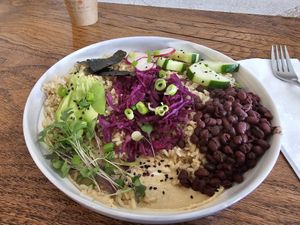  at Y'not Organic in Pismo Beach