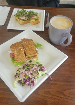  at Y'not Organic in Pismo Beach