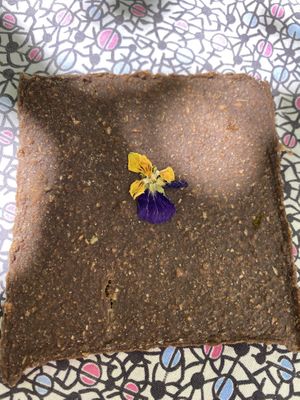 Raw cracker  at Turtle Lake Refuge in Durango