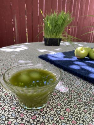 Green juice  at Turtle Lake Refuge in Durango