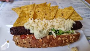 Wild dog Mexicano at El Limon in Tenerife