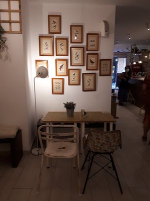 Insife at NicPic in Malaga