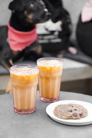  at El Burro Rayado - Food Cart in Tijuana
