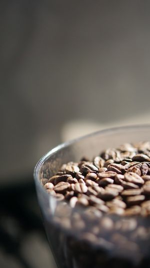  at El Burro Rayado - Food Cart in Tijuana