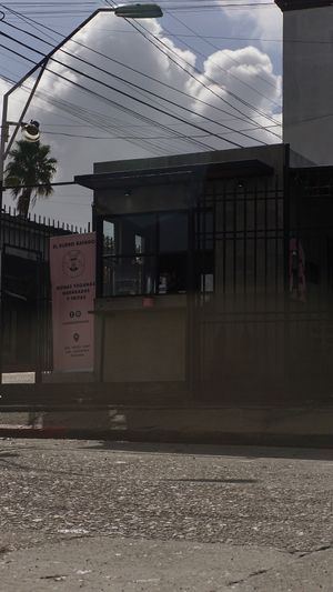 Vegan coffee shop at El Burro Rayado - Food Cart in Tijuana