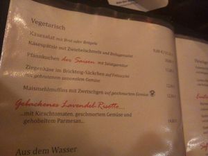 vegetarian menu at Cafe Einstein in Freiburg