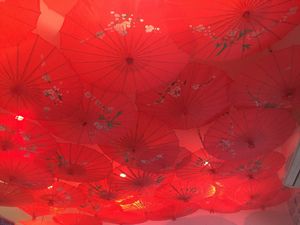 Umbrellas on the ceiling! at Foxy Luus in Byron Bay