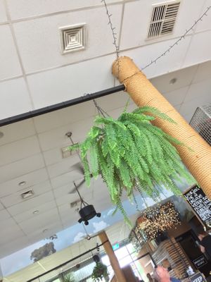 Aesthetics at Whitby in Bendigo