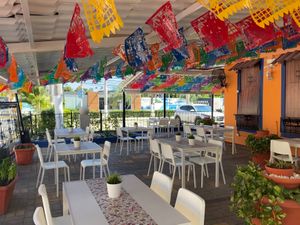 Best place to be fresh vegetarian organic food made it at the moment to ordering  at Pastrata in Punta Cana