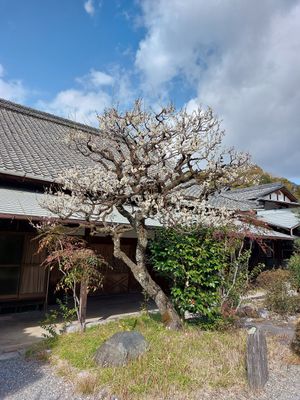  at Obakusan Manpukuji Oryukaku in Uji