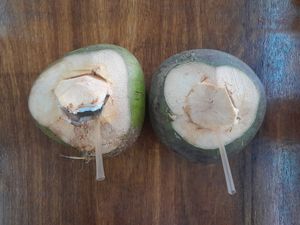  at JB Vegetarian - Jalan Trus in Johor Bahru