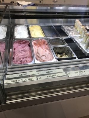 Some of the vegan flavors  at Gelateria Mario in Bolzano