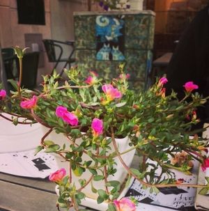 terrace at Rebaldaria in Aveiro