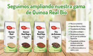 Cereales at Herbolario Flor de Loto in Palencia