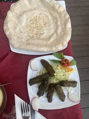   at MezzaNotte in Fuengirola