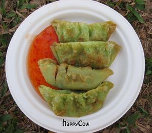 Vegan dumplings at Lucky Cow in Darwin