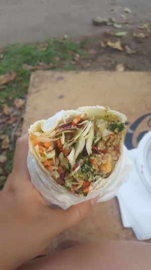 Wrap with falafel, hummus and salad. at Lucky Cow in Darwin