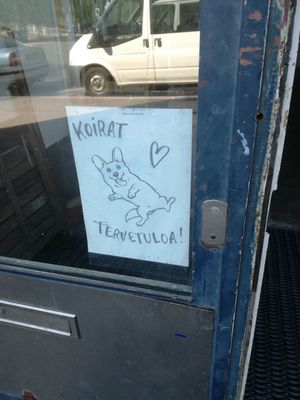 Dogs allowed at Verso in Helsinki
