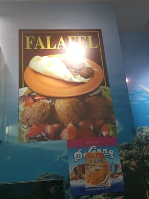 Plaster falafel really good  at Pita 2 in Port Richey